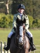 Image 7 in BROADS EC SENIOR BRITISH SHOW JUMPING ( CLASS 3 ) 25 JAN. 2015