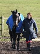 Image 9 in BROADS EC SENIOR BRITISH SHOW JUMPING ( CLASS 3 ) 25 JAN. 2015