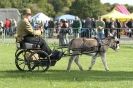 Image 13 in AUTUMN SHOW. PETERBOROUGH SHOW GROUND OCT. 2012