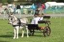 Image 14 in AUTUMN SHOW. PETERBOROUGH SHOW GROUND OCT. 2012