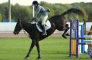 Image 20 in AUTUMN SHOW. PETERBOROUGH SHOW GROUND OCT. 2012