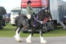 Image 32 in AUTUMN SHOW. PETERBOROUGH SHOW GROUND OCT. 2012