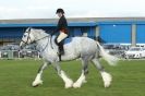 Image 44 in AUTUMN SHOW. PETERBOROUGH SHOW GROUND OCT. 2012