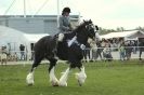 Image 48 in AUTUMN SHOW. PETERBOROUGH SHOW GROUND OCT. 2012