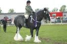 Image 49 in AUTUMN SHOW. PETERBOROUGH SHOW GROUND OCT. 2012