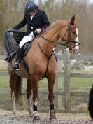 Image 21 in BROADS EC  SENIOR BRITISH SHOW JUMPING ( CLASS 4 ) 25 JAN. 2015