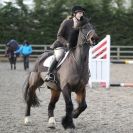 Image 4 in BROADS EC  SENIOR BRITISH SHOW JUMPING ( CLASS 4 ) 25 JAN. 2015