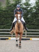 Image 10 in BROADS EC  SENIOR BRITISH SHOW JUMPING ( CLASS 5 )  25 JAN. 2015