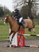 Image 11 in BROADS EC  SENIOR BRITISH SHOW JUMPING ( CLASS 5 )  25 JAN. 2015