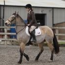 Image 2 in BROADS EC  SENIOR BRITISH SHOW JUMPING ( CLASS 5 )  25 JAN. 2015