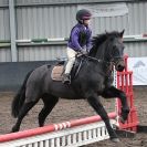 Image 12 in OVERA FARM STUD. 8. FEB. 2015. CLASS1.
