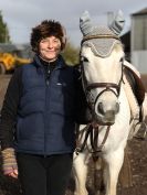 Image 3 in OVERA FARM STUD. 8. FEB. 2015. SHOW JUMPING CLASS 2.