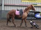 Image 33 in OVERA FARM STUD. 8. FEB. 2015.  SHOW JUMPING  CLASS  2.