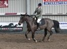 Image 11 in OVERA FARM STUD. 8. FEB. 2015. SHOW JUMPING CLASS 3.