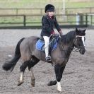 Image 61 in OVERA FARM STUD. 8. FEB. 2015. SHOW JUMPING CLASS 3.