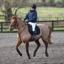 Image 64 in OVERA FARM STUD. 8. FEB. 2015. SHOW JUMPING CLASS 3.