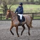 Image 64 in OVERA FARM STUD. 8. FEB. 2015.  SHOW JUMPING  CLASS 3.