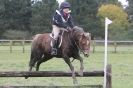 Image 14 in HUNTER TRIAL  BARNHAM BROOM 1 NOV 2012