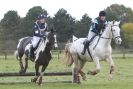 Image 18 in HUNTER TRIAL BARNHAM BROOM 1 NOV 2012