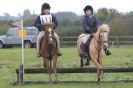 Image 20 in HUNTER TRIAL  BARNHAM BROOM 1 NOV 2012