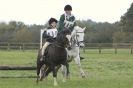 Image 21 in HUNTER TRIAL BARNHAM BROOM 1 NOV 2012