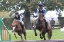 Image 26 in HUNTER TRIAL BARNHAM BROOM 1 NOV 2012