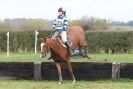 Image 3 in HUNTER TRIAL  BARNHAM BROOM 1 NOV 2012