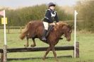 Image 34 in HUNTER TRIAL BARNHAM BROOM 1 NOV 2012