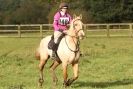 Image 36 in HUNTER TRIAL BARNHAM BROOM 1 NOV 2012