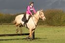 Image 37 in HUNTER TRIAL BARNHAM BROOM 1 NOV 2012
