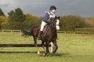 Image 38 in HUNTER TRIAL BARNHAM BROOM 1 NOV 2012