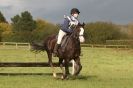 Image 38 in HUNTER TRIAL  BARNHAM BROOM 1 NOV 2012