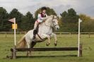 Image 39 in HUNTER TRIAL  BARNHAM BROOM 1 NOV 2012