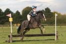 Image 40 in HUNTER TRIAL BARNHAM BROOM 1 NOV 2012