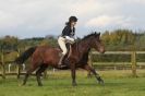 Image 41 in HUNTER TRIAL BARNHAM BROOM 1 NOV 2012
