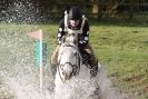 Image 45 in HUNTER TRIAL BARNHAM BROOM 1 NOV 2012