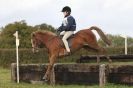 Image 6 in HUNTER TRIAL BARNHAM BROOM 1 NOV 2012