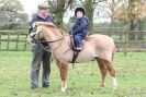 Image 7 in HUNTER TRIAL BARNHAM BROOM 1 NOV 2012