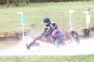 Image 8 in HUNTER TRIAL BARNHAM BROOM 1 NOV 2012