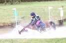 Image 8 in HUNTER TRIAL  BARNHAM BROOM 1 NOV 2012