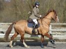 Image 29 in BROADS EC BRITISH SJ SENIORS  21 FEB 15  CLASS 4