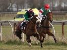 Image 4 in HIGHAM POINT 2 POINT. THE PONY RACING.  22 FEB 2015