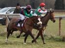 Image 5 in HIGHAM POINT 2 POINT. THE PONY RACING.  22 FEB 2015