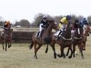 Image 12 in HIGHAM POINT 2 POINT. FROM THE MAIN RACES.