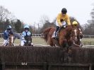 Image 13 in HIGHAM POINT 2 POINT. FROM THE MAIN RACES.