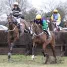 Image 19 in HIGHAM POINT 2 POINT. FROM THE MAIN RACES.