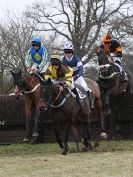 Image 23 in HIGHAM POINT 2 POINT. FROM THE MAIN RACES.