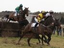 Image 29 in HIGHAM POINT 2 POINT. FROM THE MAIN RACES.