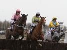 Image 30 in HIGHAM POINT 2 POINT. FROM THE MAIN RACES.