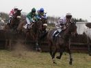 Image 31 in HIGHAM POINT 2 POINT. FROM THE MAIN RACES.